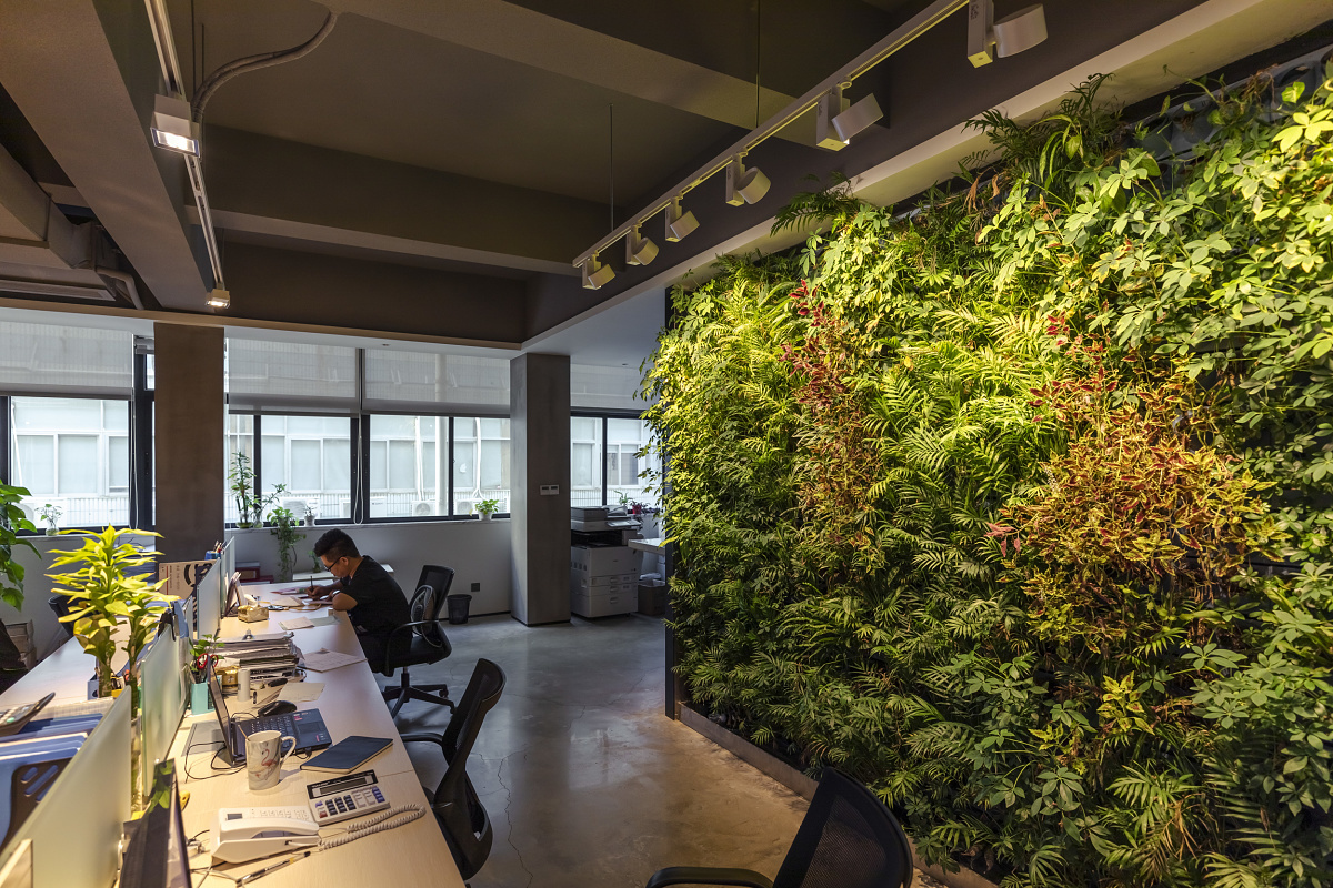 QiGuang Technology office featuring Optec spotlights for the green wall and Opton spotlights for workspaces.
