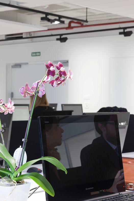 ERCO office lighting at Engel & Völkers Market Center in Madrid, with orchid in foreground.