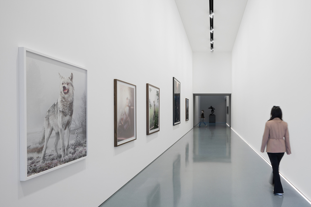 ERCO Stella spotlights illuminate art in Space Z, Beijing. Diverse exhibition lighting.