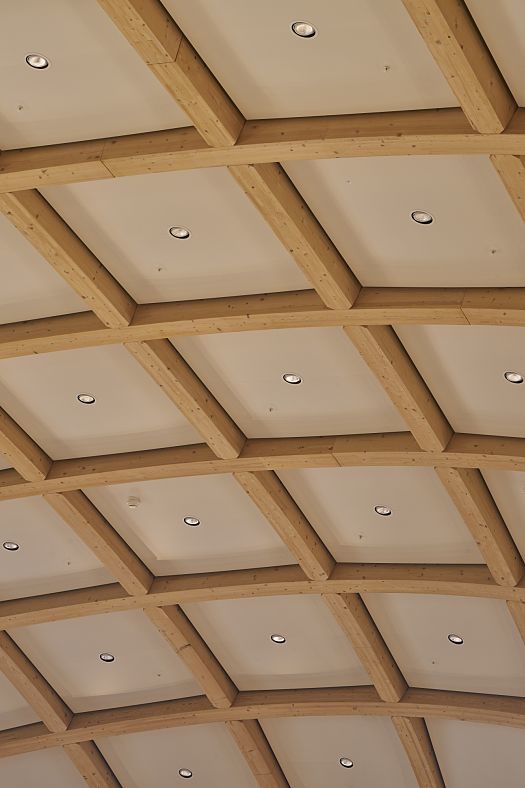 Swatch HQ ceiling featuring Gimbal recessed floodlights providing glare-free office lighting.