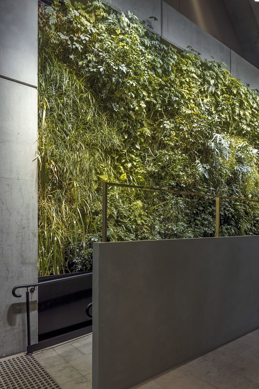 Green wall in 565 Bourke Street foyer, illuminated by ERCO Light Board spotlights.