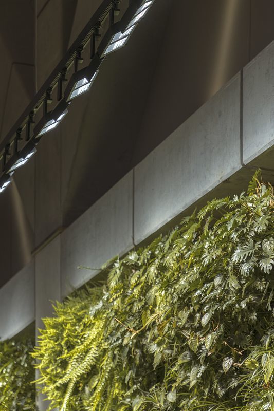 ERCO Light Board spotlights illuminate a green wall in the 565 Bourke Street office building foyer.