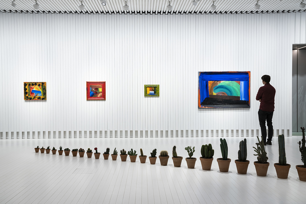 Man views art in The Twist museum, illuminated by ERCO Parscan spotlights, alongside a row of cacti.