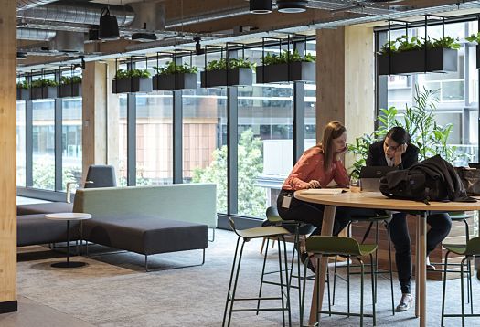 Aurecon office in Brisbane featuring ERCO LED lighting in timber building.