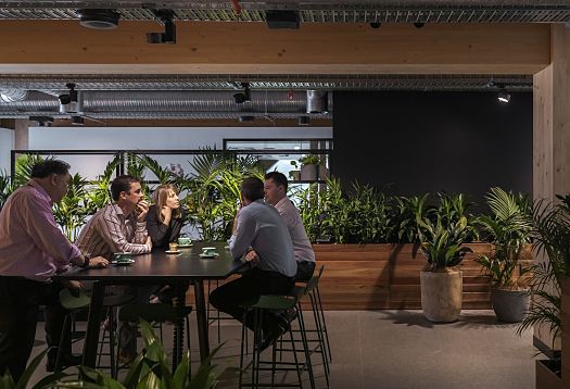 ERCO LED lighting in the Timber Building: Meeting in an open office space with plants.