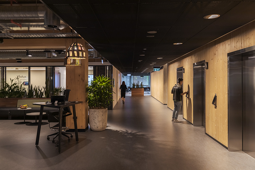 ERCO LED lighting in the Timber Building: Office floor with Skim downlights and warm white light for a welcoming atmosphere.