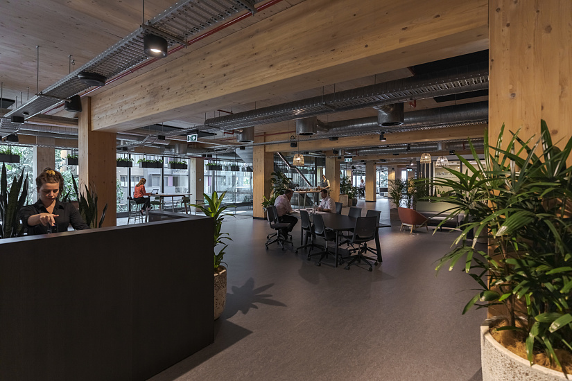 ERCO LED lighting in the Timber Building: Office floor with Skim downlights for a pleasant work atmosphere.
