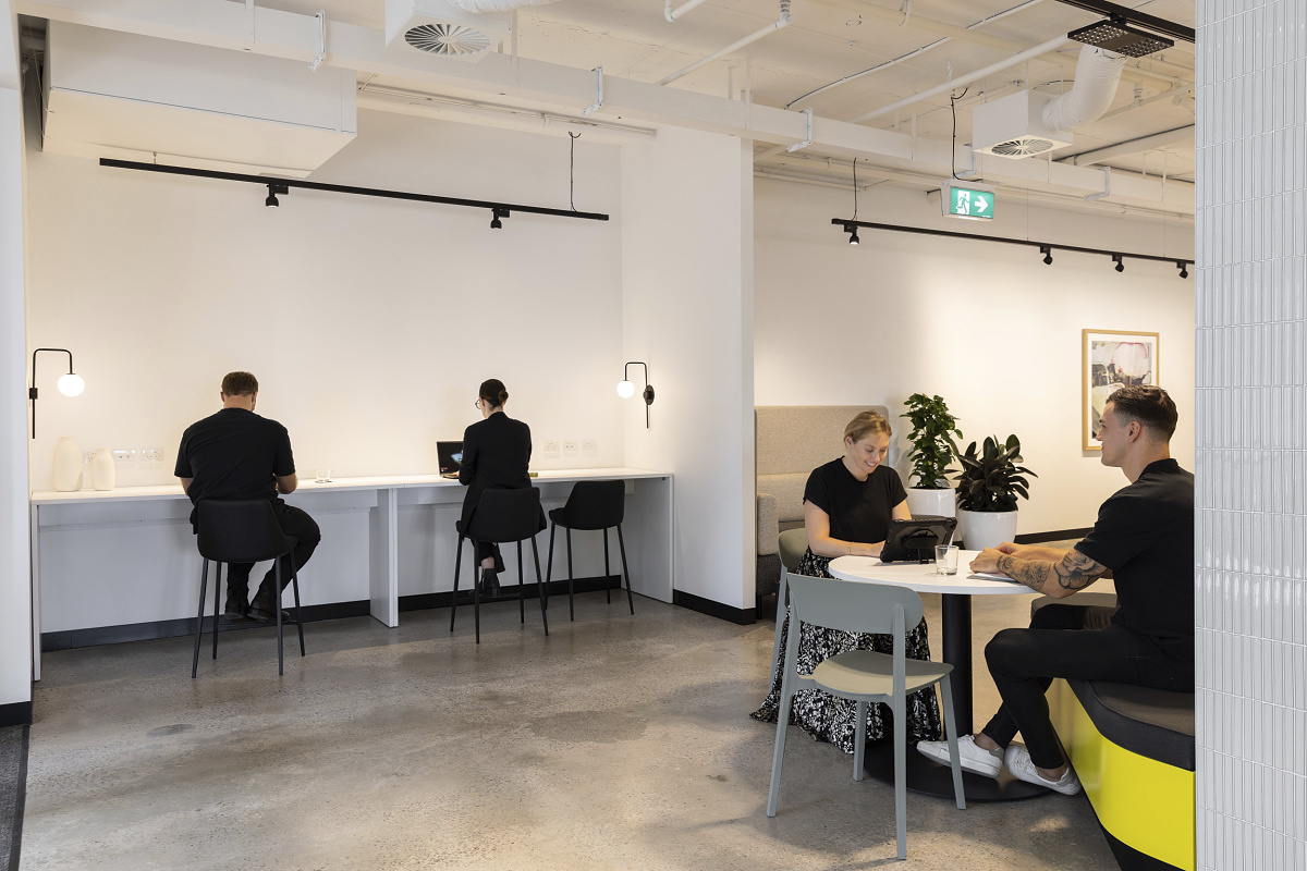 Flexible office lighting with Jilly downlights and Hi-trac track lights in Valmont Office, Sydney.