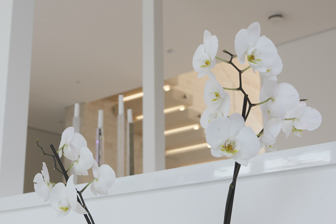 Close-up of white orchids enhancing the bright, modern Villa Linari interior with a fresh, inviting ambiance.