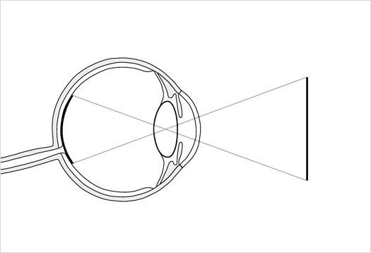 Diagram of the human eye showing light refraction and image projection onto the retina.