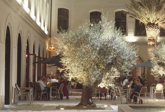 Illuminated olive tree in an outdoor dining area, showcasing atmospheric lighting.