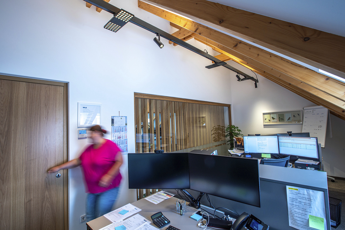 ERCO Jilly downlights and Uniscan spotlights illuminate the WLK Energy GmbH offices.